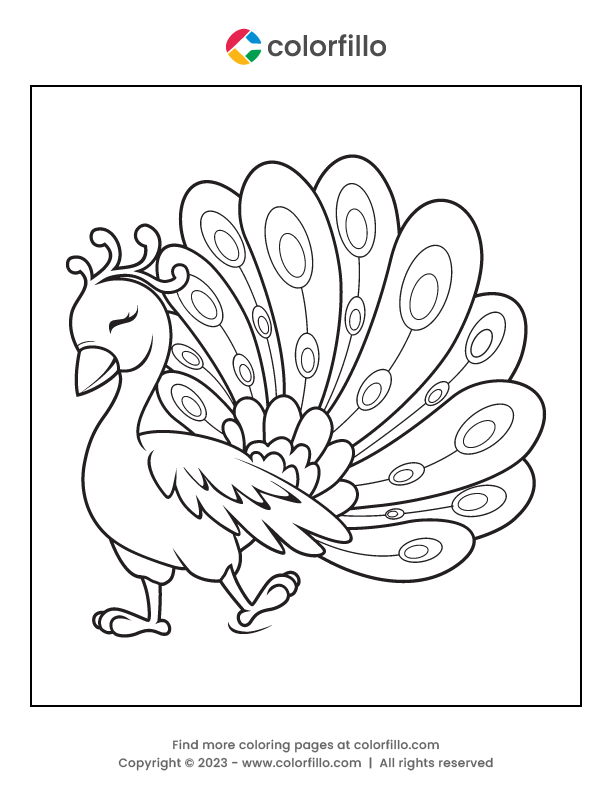 Free Online Peacock Bird Coloring Page colorfillo