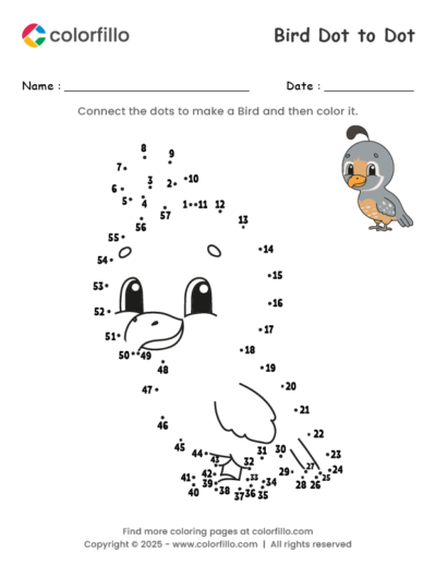Bird Dot to Dot Worksheet