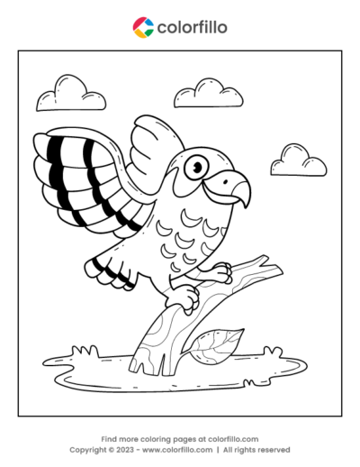 Falcon Bird Coloring Page