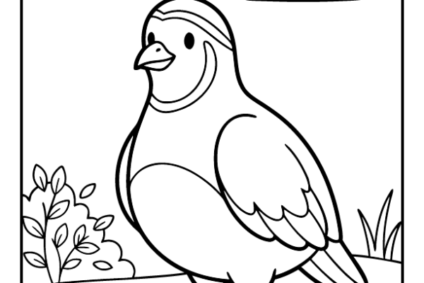 Quail Coloring Page