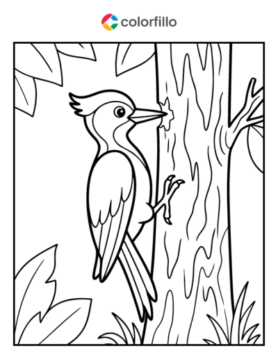 Woodpecker Coloring Pages