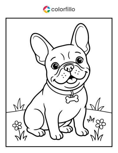 French Bulldog Coloring Page