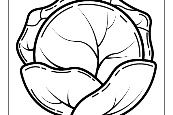 Cabbage Coloring Page