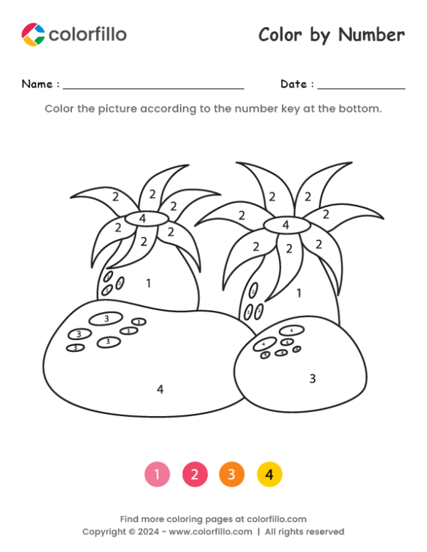 Sea Anemones Color by Number