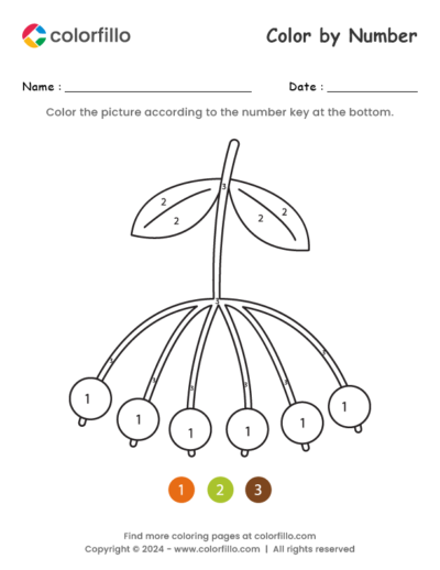 Ash Berry Color by Number