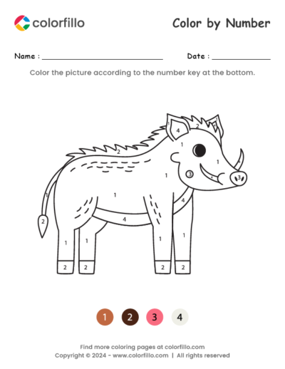Warthog Color by Number