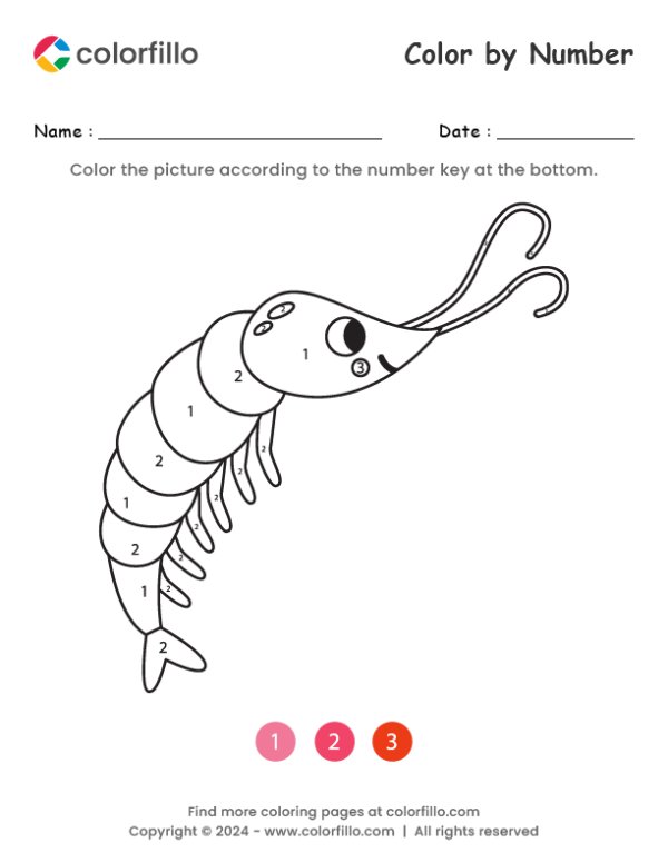 Shrimp Color by Number