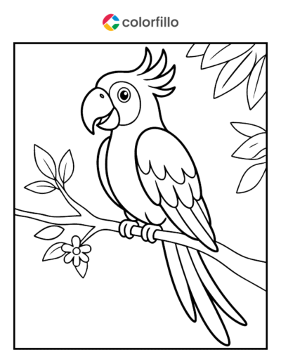 Macaw Coloring Pages
