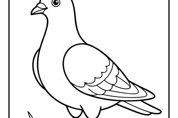 Pigeon Coloring Page