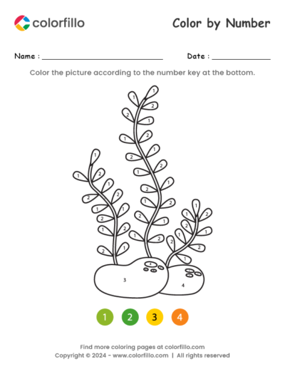 Seaweed Color by Number