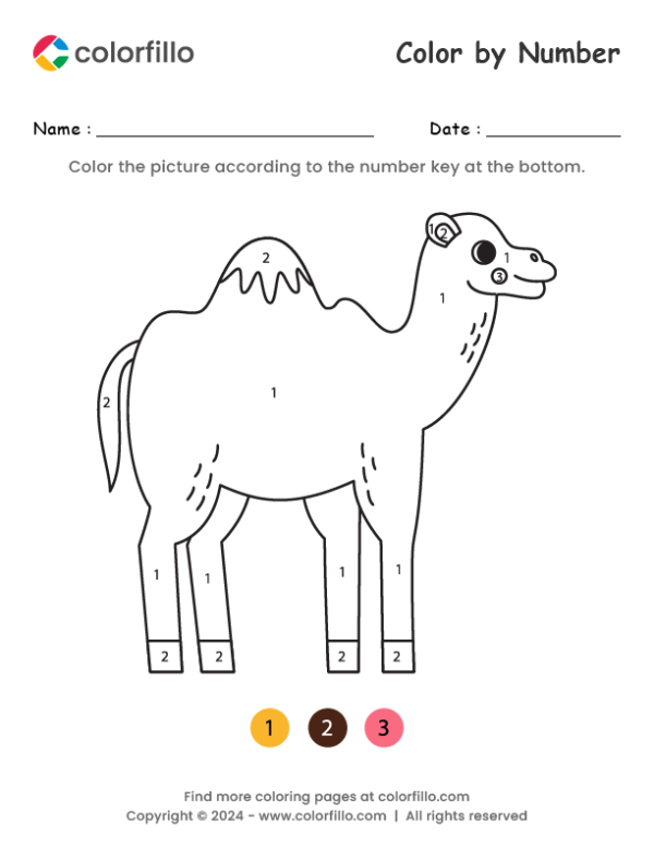 Camel Color by Number