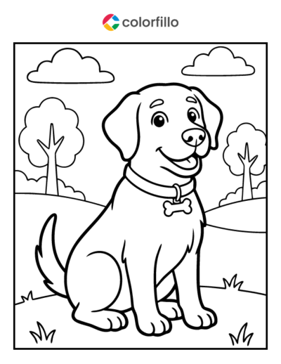 Labrador Coloring Page