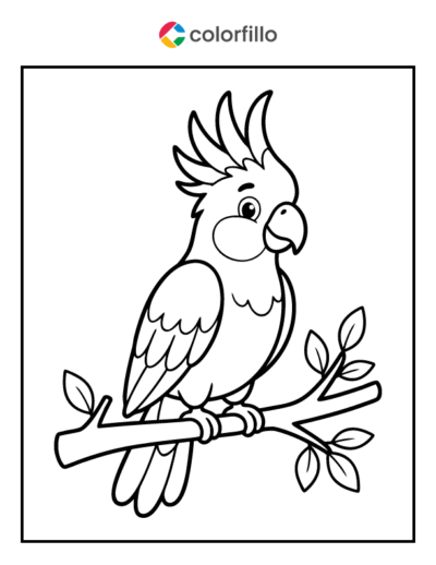 Cockatoo Coloring Pages