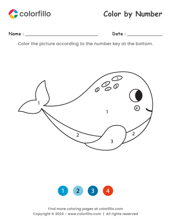Blue Whale Color by Number