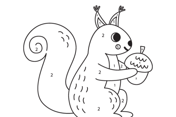 Cute Squirrel Color by Number