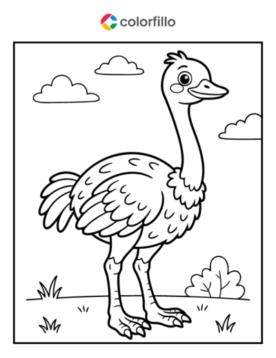 Ostrich Coloring Pages