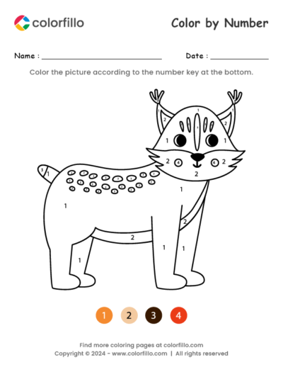 Lynx Color by Number