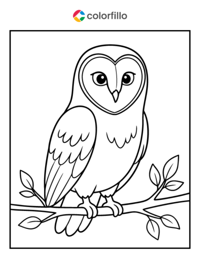 Barn Owl Coloring Pages