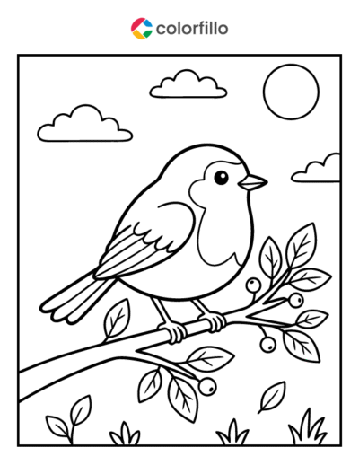 Robin Coloring Pages