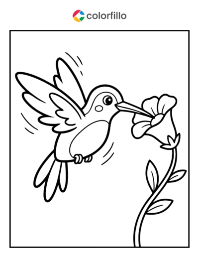 Hummingbird Coloring Pages