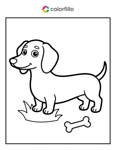 Dachshund Coloring Page