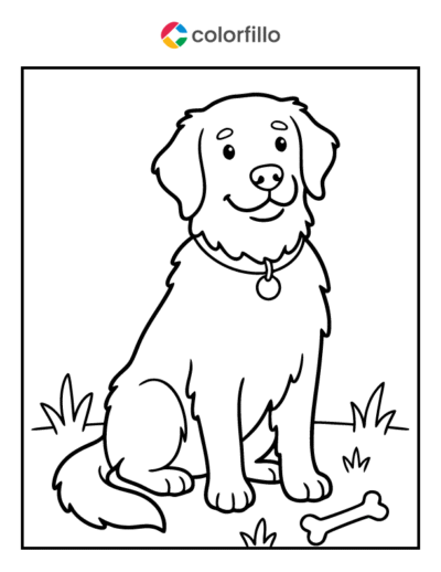 Golden Retriever Coloring Pages
