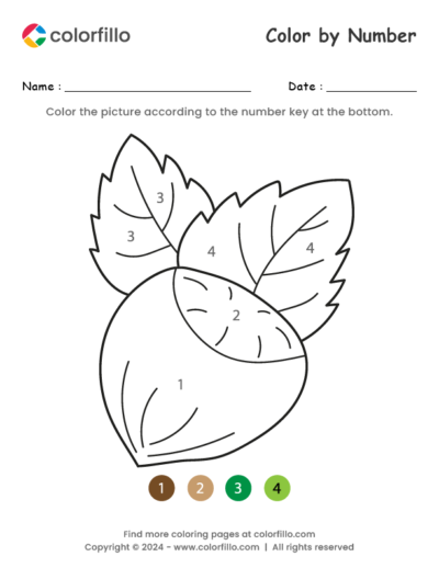 Hazelnut Color by Number