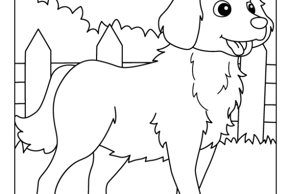 Golden Retriever Dog Coloring Page
