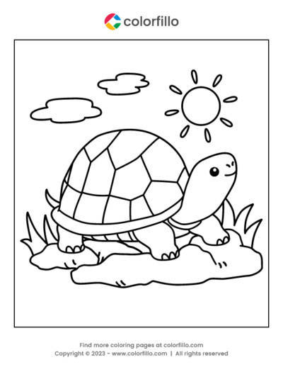 Turtle Coloring Page