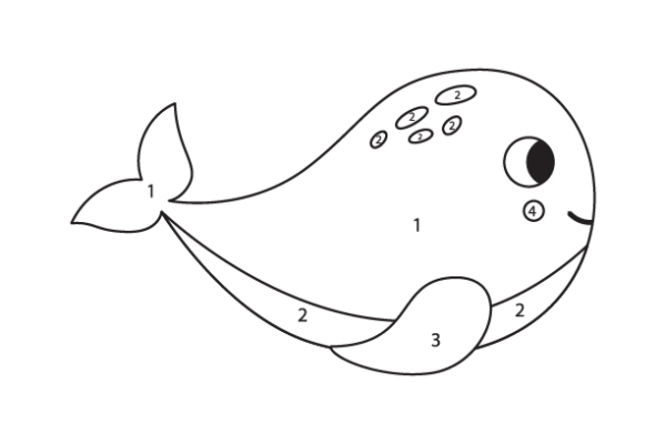 Blue Whale Color by Number