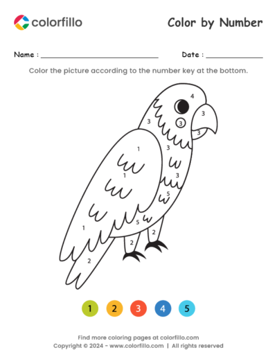 Rainbow Lorikeet Color by Number