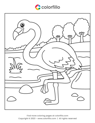 Flamingo Bird Coloring Page