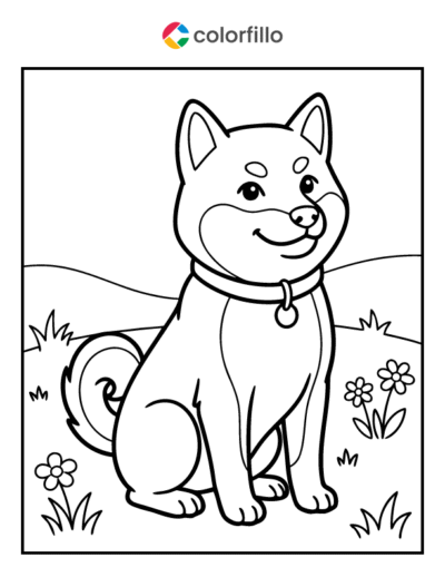 Shiba Inu Coloring Page