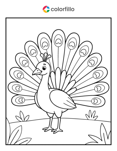 Peacock Coloring Pages