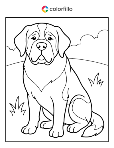 Saint Bernard Coloring Pages