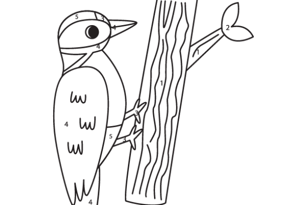 Woodpecker Color by Number