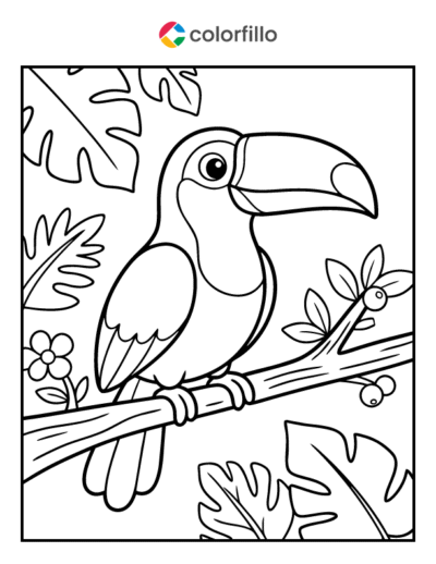 Toucan Coloring Pages