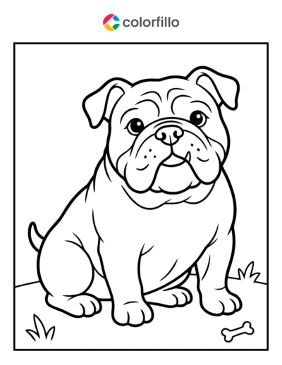 English Bulldog Coloring Page