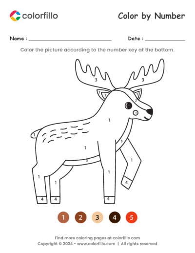 Moose Color by Number