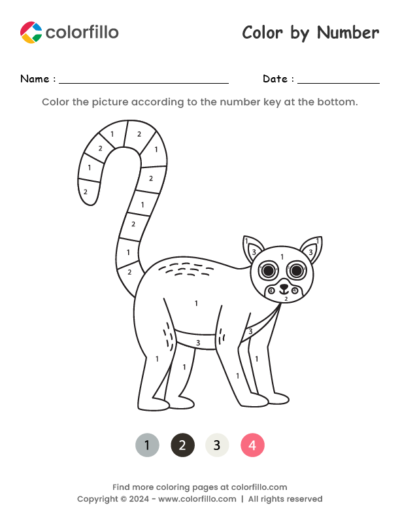 Lemur Color by Number