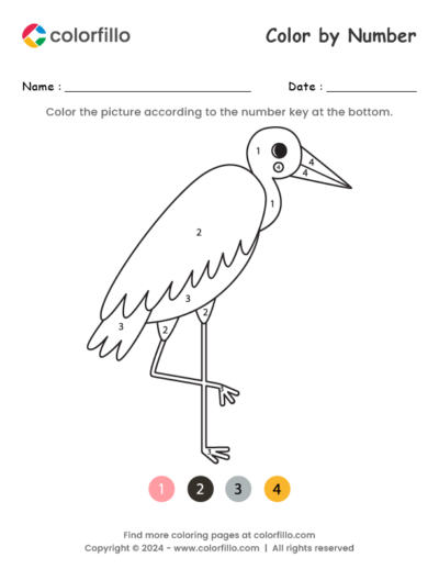 Marabou Color by Number