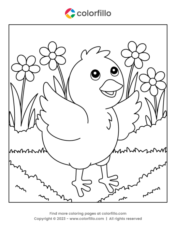 Chicken Bird Coloring Page