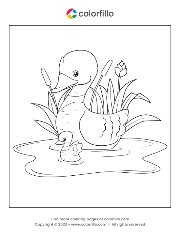 Duck Bird Coloring Page