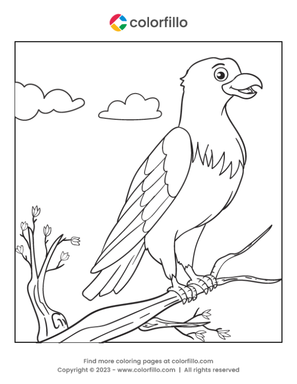 Eagle Bird Coloring Page