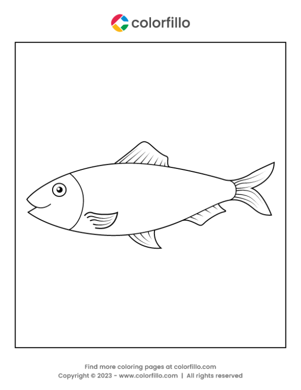 Herring Fish Coloring Page