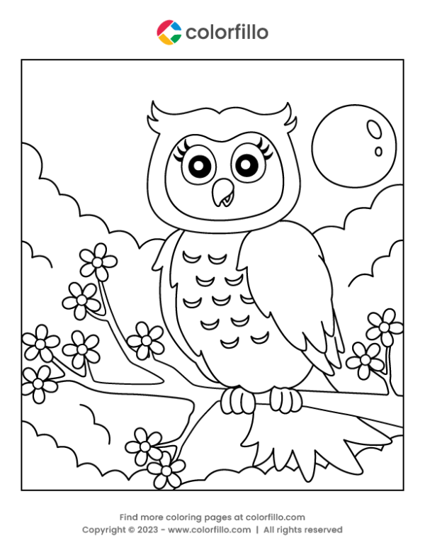 Owl Bird Coloring Page