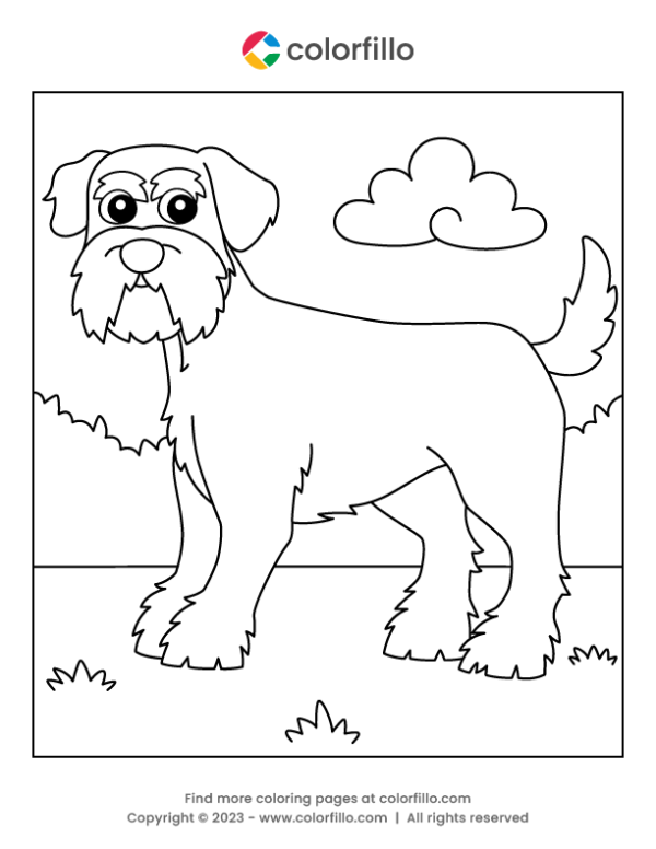Schnauzer Dog Coloring Page
