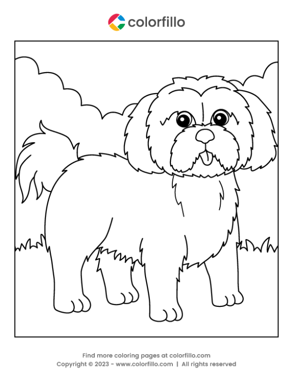 Shih Tzu Dog Coloring Page
