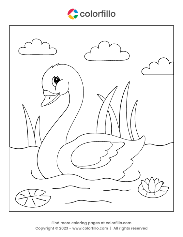 Swan Bird Coloring Page