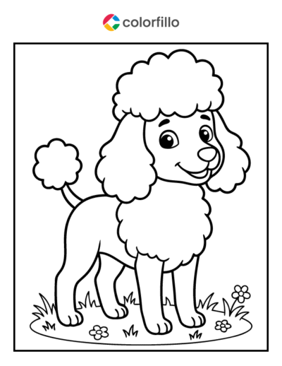 Poodle Coloring Page